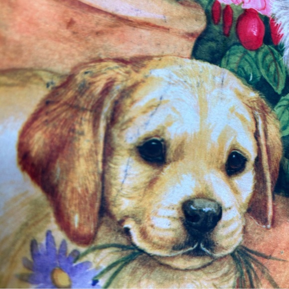 SPCA humane society bundle tote bag 2 coasters frame card lunch bag READ - Picture 2 of 12